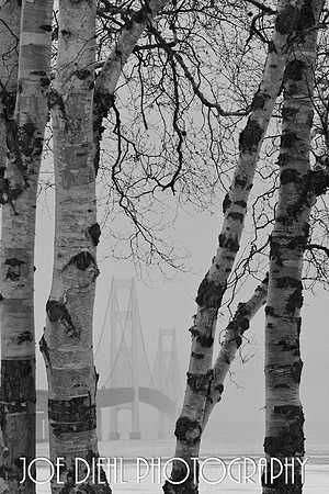 Mighty Mac in the Mist