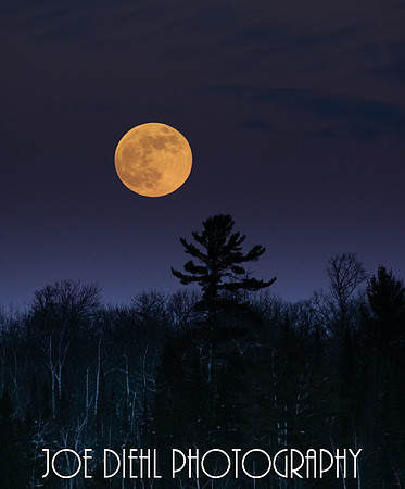 Cold Moon in January over St Mary's River Barbeau, MI