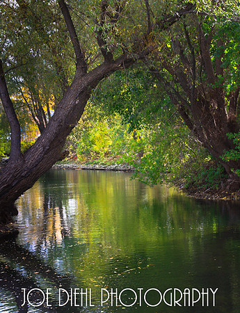 Boardman River Traverse City, MI