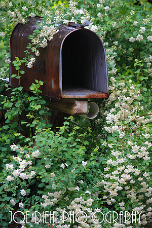 Address Unknown Old Mission Peninsula Traverse City, MI