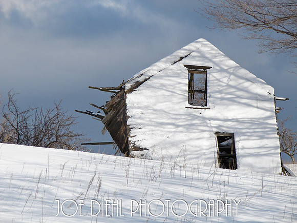 Nobody's Home