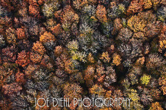 Fall From Above (from a hot air balloon over Traverse City)
