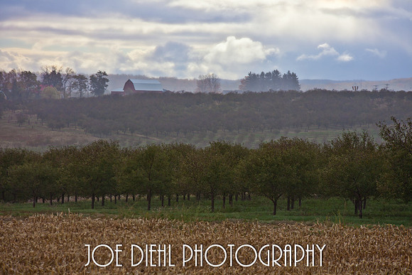 Fertile Land Williamsburg, MI