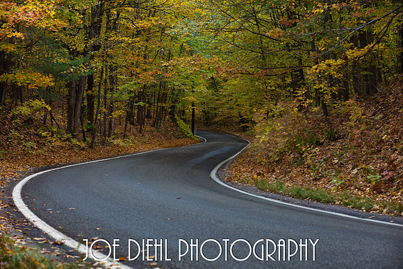 Tunnel of Trees