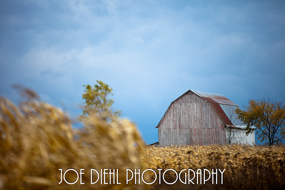 Hillman, MI