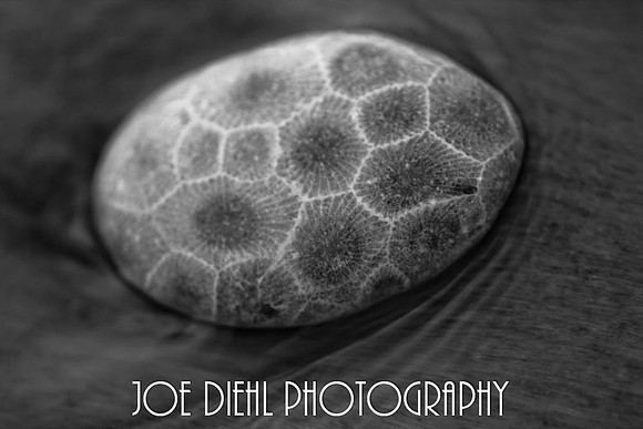 Petoskey Stone